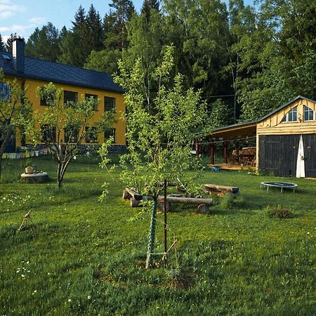 Blickinsfreie - Cabin Schöneck Kültér fotó