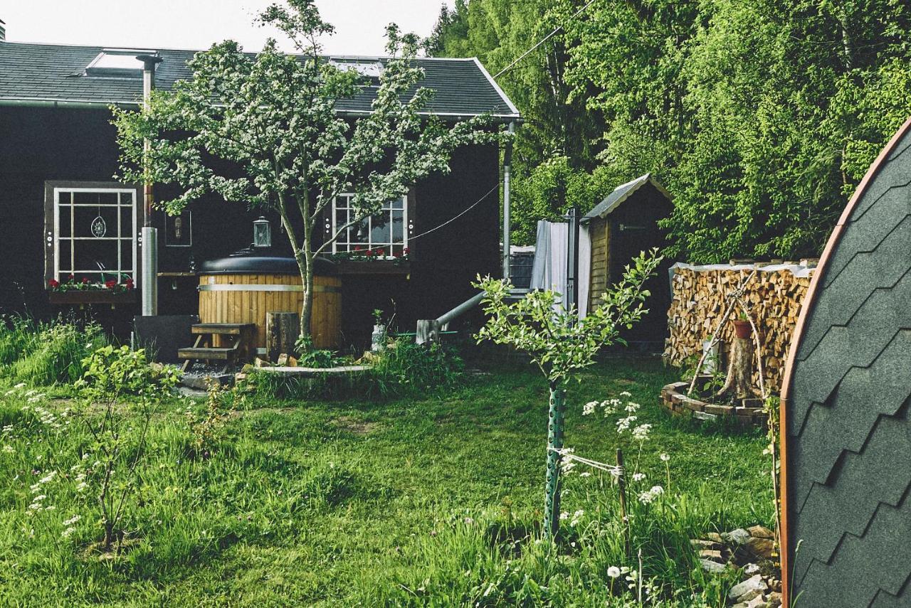 Blickinsfreie - Cabin Villa Schöneck Kültér fotó