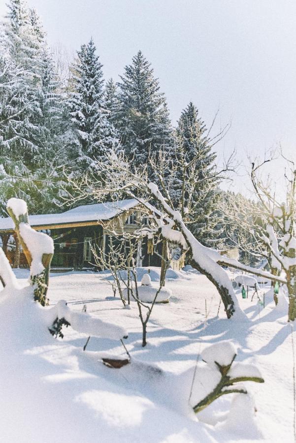 Blickinsfreie - Cabin Villa Schöneck Kültér fotó