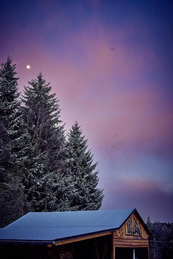 Blickinsfreie - Cabin Schöneck Kültér fotó