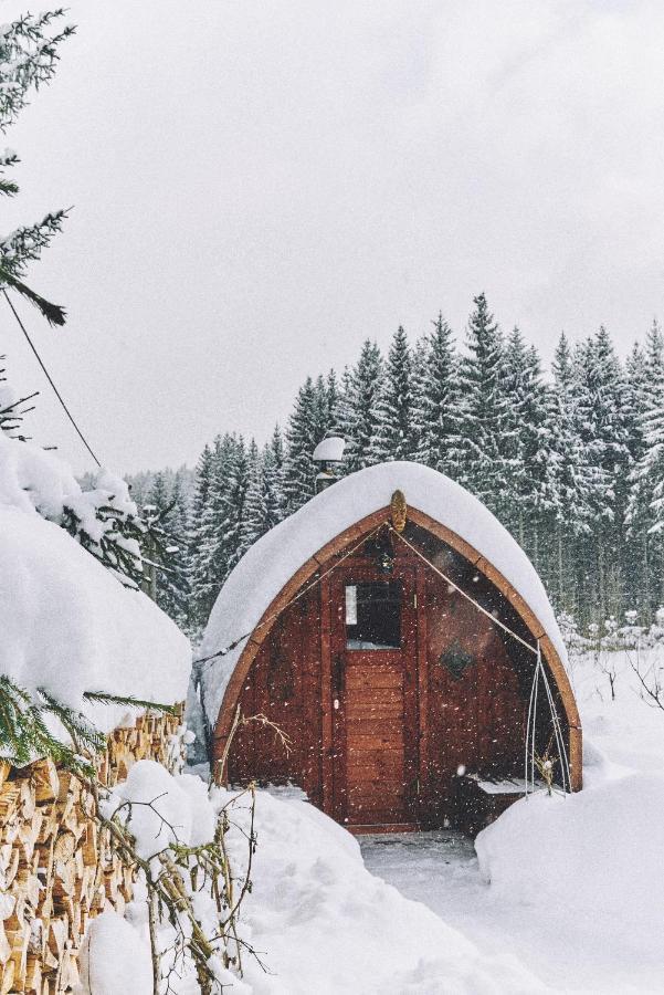 Blickinsfreie - Cabin Schöneck Kültér fotó