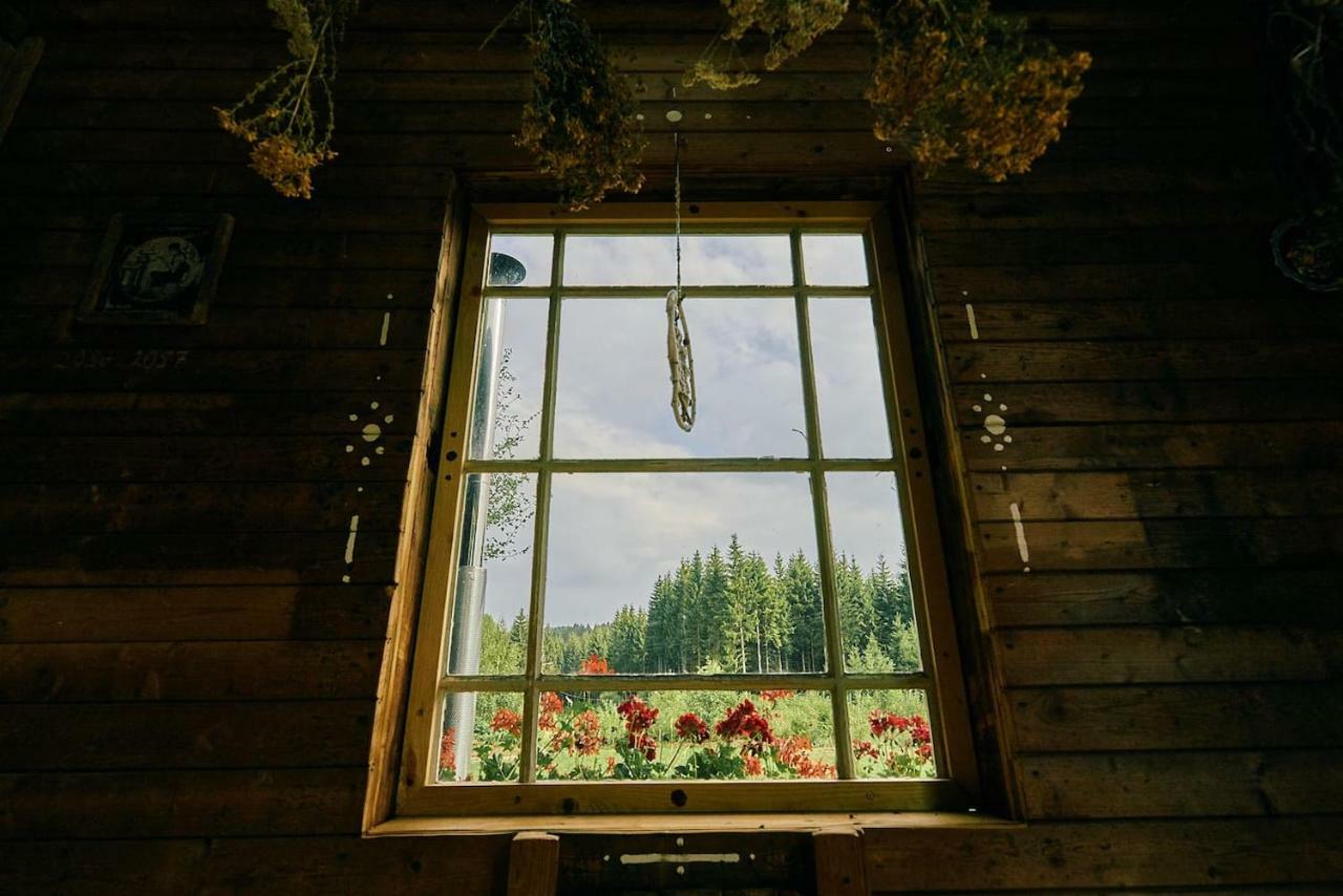 Blickinsfreie - Cabin Schöneck Kültér fotó