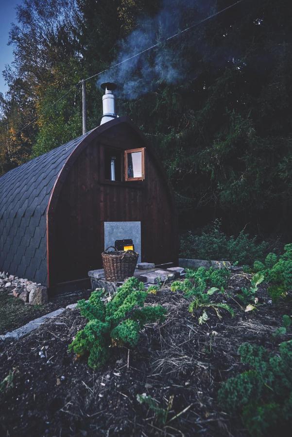 Blickinsfreie - Cabin Schöneck Kültér fotó
